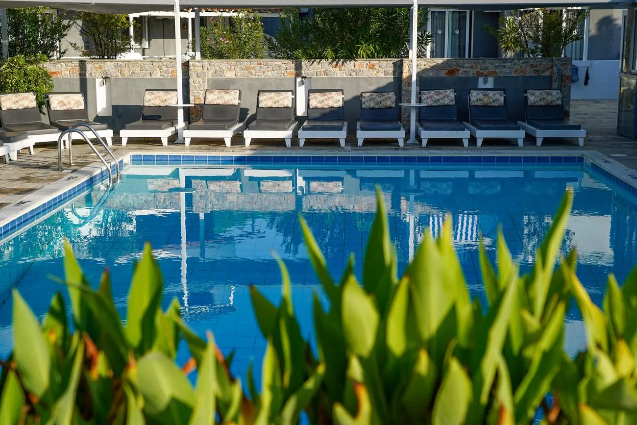 The studios pool through green leaves