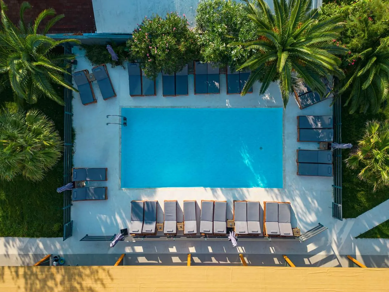 Aerial view of the Cabana pool and palm trees